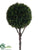 Cedar Ball Topiary Stem - Green - Pack of 2