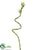 Curly Lucky Bamboo Spray - Green - Pack of 12