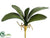 Phalaenopsis Orchid Leaf Spray - Green - Pack of 12