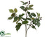 Silk Plants Direct Raspberry Spray - Green - Pack of 24