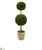 Silk Plants Direct Preserved Boxwood Double Ball Topiary Tree - Pack of 1