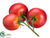 Tomato - Red - Pack of 24