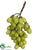 Grape Cluster - Green - Pack of 12