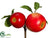 Apple Pick - Red - Pack of 12