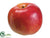 Apple - Red - Pack of 6