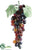 Lady Finger Grapes - Burgundy Two Tone - Pack of 12