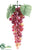 Lady Finger Grapes - Rose Green - Pack of 12