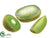 Kiwi Fruit Wedges - Green - Pack of 24