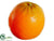 Orange Fruit - Orange - Pack of 36