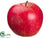 Apple - Red Two Tone - Pack of 12