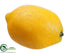 Silk Plants Direct Lemon - Yellow - Pack of 36