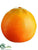 Orange Fruit - Orange - Pack of 24