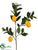 Lemon Branch - Yellow - Pack of 6