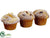Nut, Berry Muffin - Brown - Pack of 12