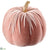 Velvet Pumpkin - Pink - Pack of 12