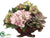Hydrangea, Echeveria - Pink Green - Pack of 1