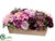 Hydrangea, Rose, Skimmia - Lavender Burgundy - Pack of 1