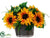 Sunflower, Fern, Daisy - Yellow - Pack of 1
