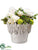 Rose, Hydrangea, Sedum - Cream Beige - Pack of 1