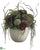Succulent, Twig, Bird nest - Green Burgundy - Pack of 1