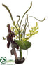Silk Plants Direct Cymbidium Orchid, Banana Bunch - Green Burgundy - Pack of 1