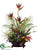 Pitcher Plant, Protea, Anthurium - Burgundy Brick - Pack of 1