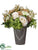Ranunculus, Rose Arrangement - Cream Blush - Pack of 1