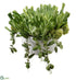Silk Plants Direct Echeveria Sedum - Green - Pack of 1