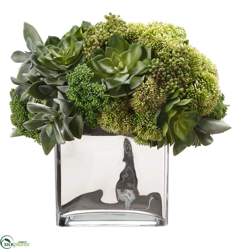 succulent silk plants Silk Plants Direct Succulent Sedum - Green