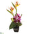 Orchid, Bird of Paradise - Purple Natural - Pack of 1