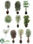 Office Trees - Assorted - Pack of 1