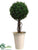 Boxwood Topiary Ball - Green - Pack of 1