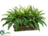 Silk Plants Direct Boston Fern - Green - Pack of 1