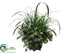 Silk Plants Direct Fittonia, Grass, Twig - Green - Pack of 1