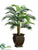 Hearts Palm Tree - Green - Pack of 1