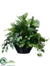 Silk Plants Direct Peperomia, Fittonia, Fern, Peacock, Protea - Green - Pack of 1