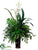 Fern, Fittonia, Split Philodendron, Cymbidium Orchid - Green White - Pack of 1