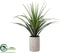Silk Plants Direct Dracaena - Green - Pack of 1