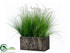 Silk Plants Direct Dog Tail Grass - Green - Pack of 1