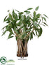 Silk Plants Direct Eucalyptus Drift Wood - Green - Pack of 1