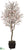 Apple Blossom Tree - Pink - Pack of 1