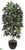Schefflera Tree - Green - Pack of 1