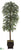 Ruscus Tree - Green - Pack of 1