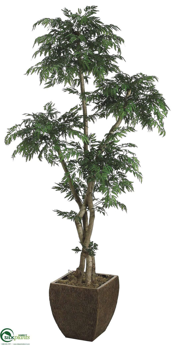 Ming Aralia Tree Green Pack of 1 (CRG7444TWS) silkplantsdirect
