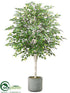 Silk Plants Direct Birch Tree - Green - Pack of 1
