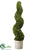 Spiral Cedar Topiary - Green - Pack of 1