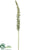 Glittered Foxtail Lily Spray - Green - Pack of 12