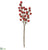 Iced Berry Pick - Red Clear - Pack of 24