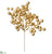 Berry Pick - Gold - Pack of 36