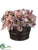 Hydrangea, Rose, Poinsettia, Magnolia, Pine Cone - Pink Lavender - Pack of 2